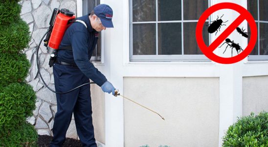 Karpuzlu Gümüşkurt İlaçlama böcek ilaçlama ve haşere kontrolü — ilaclama-tr.com